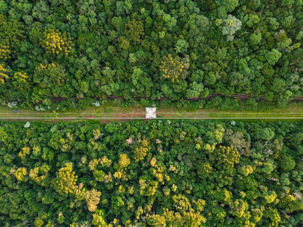 Aerial view of power transmission lines and towers